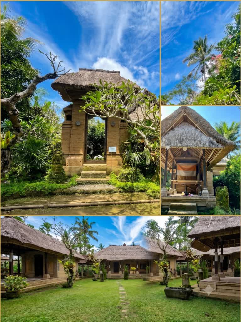Luwak Coffee Plantation Umah Kuno