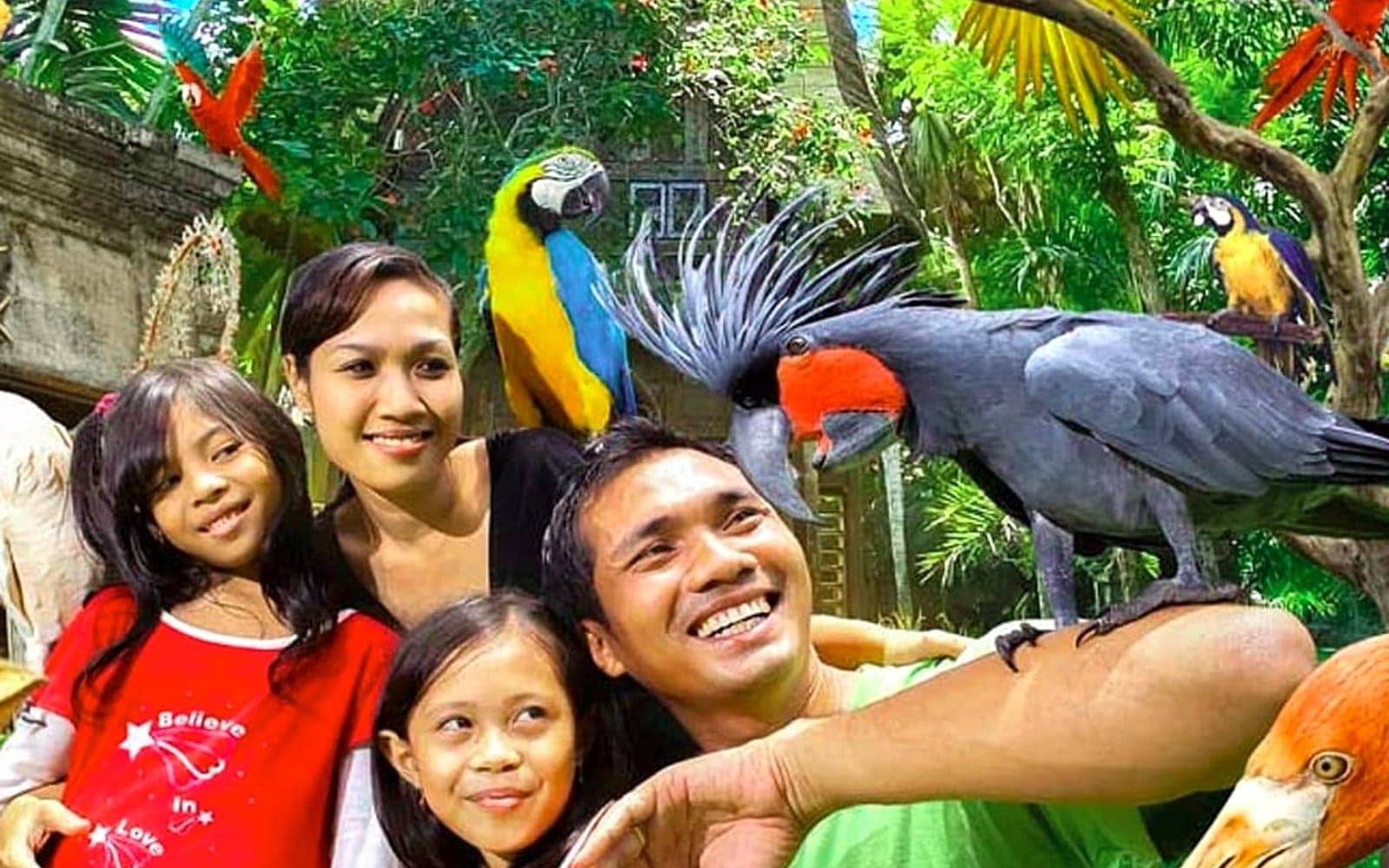 Bali Bird Park
