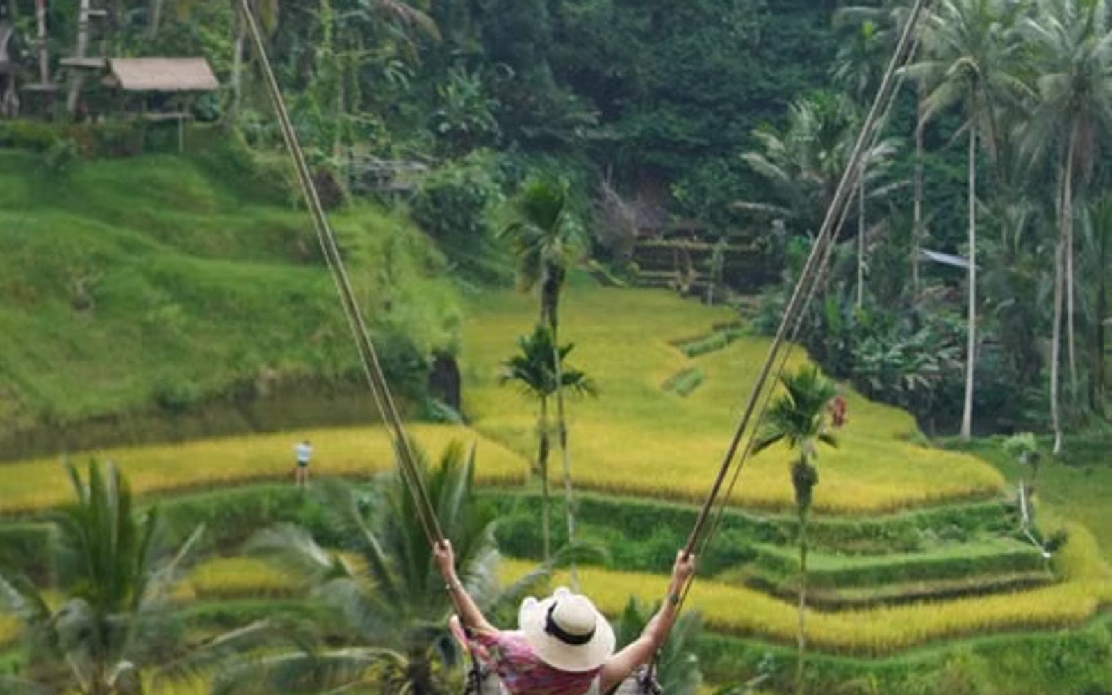Swing Heaven vs Tegallalang Bali Swing: Which Park to Book