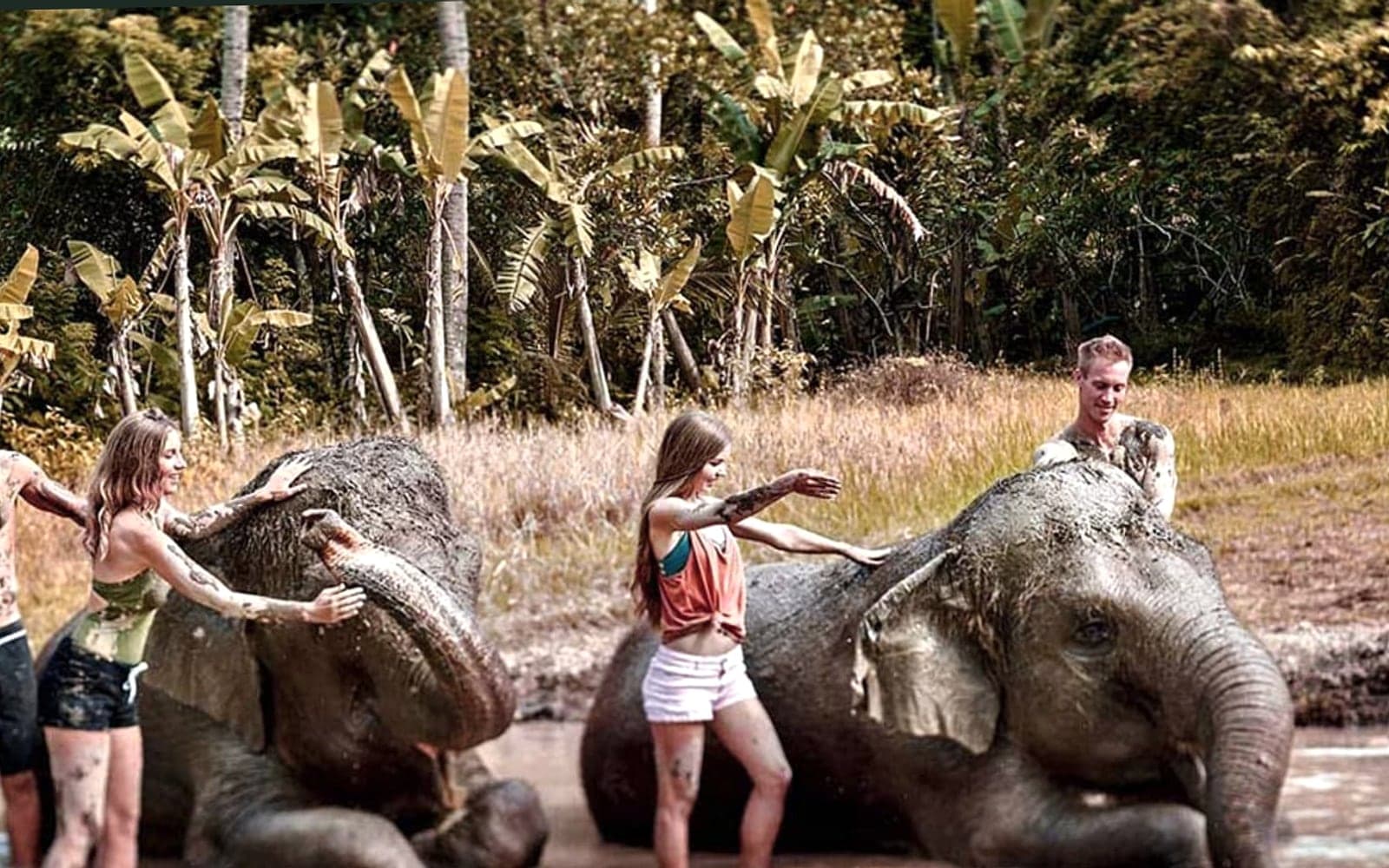 Elephant Mud Fun at Bali Zoo Park