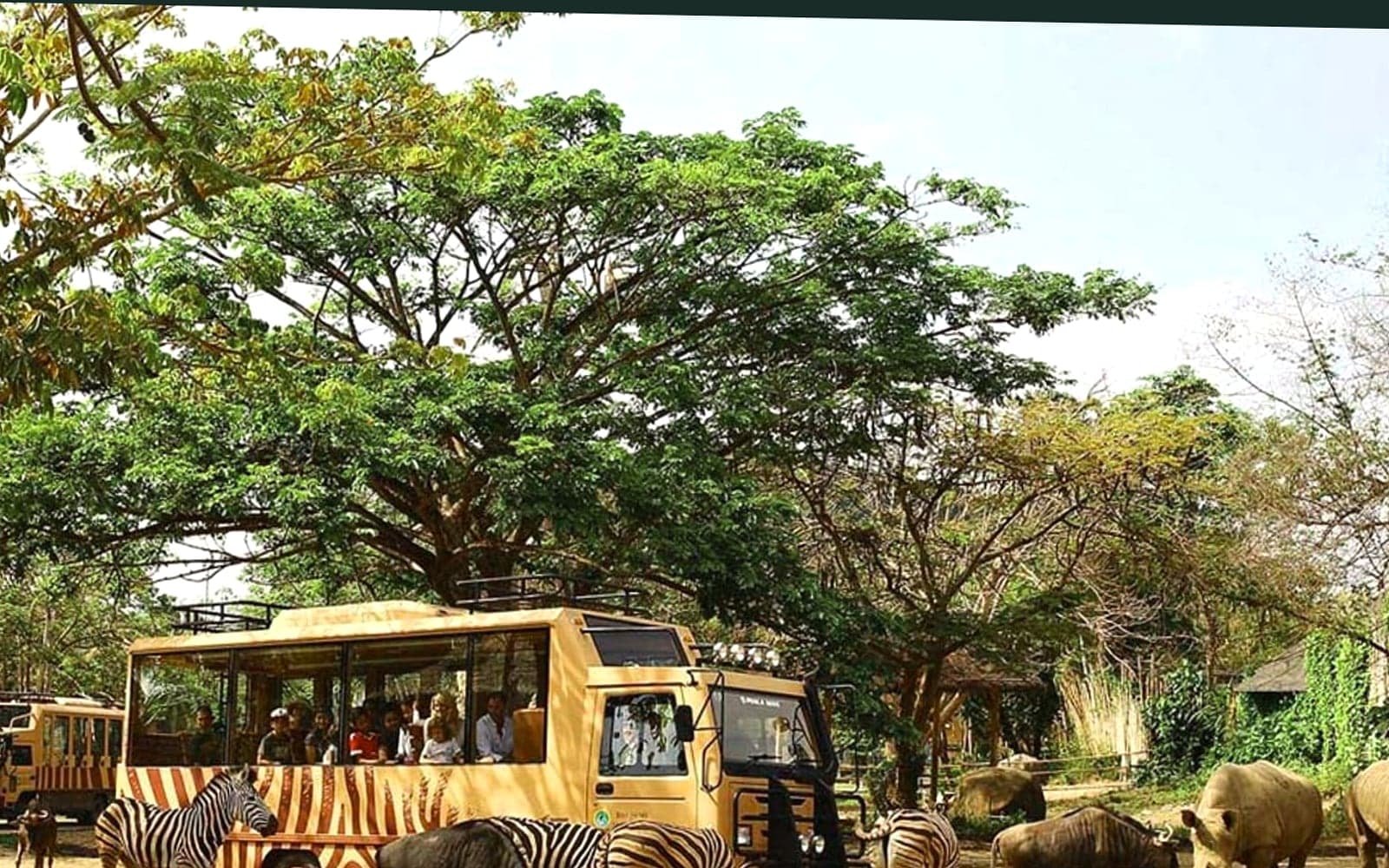 Bali Safari and Marine Park