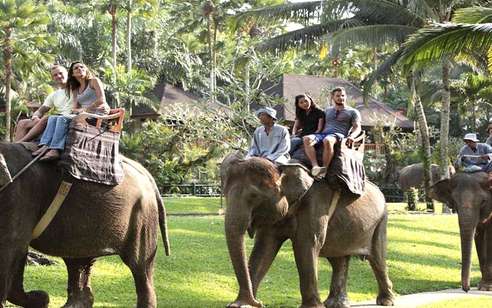Jungle Safari Ride and Lunch — Taro