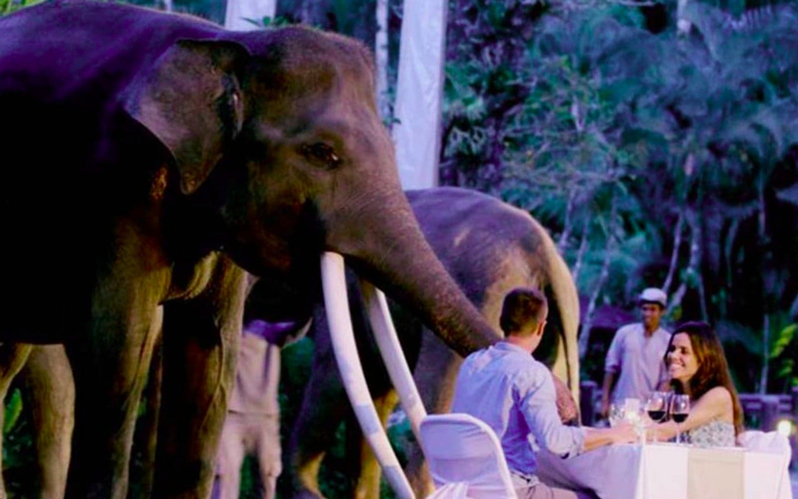 Night Safari & Dinner — Elephant Safari Park Lodge