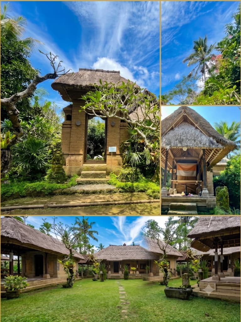 Luwak Coffee Plantation Experience (Umah Kuno)