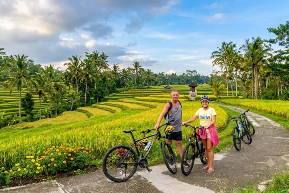 Ubud Ricefield Cycling Tour: Full Itinerary, Price & What Is Included (2026)